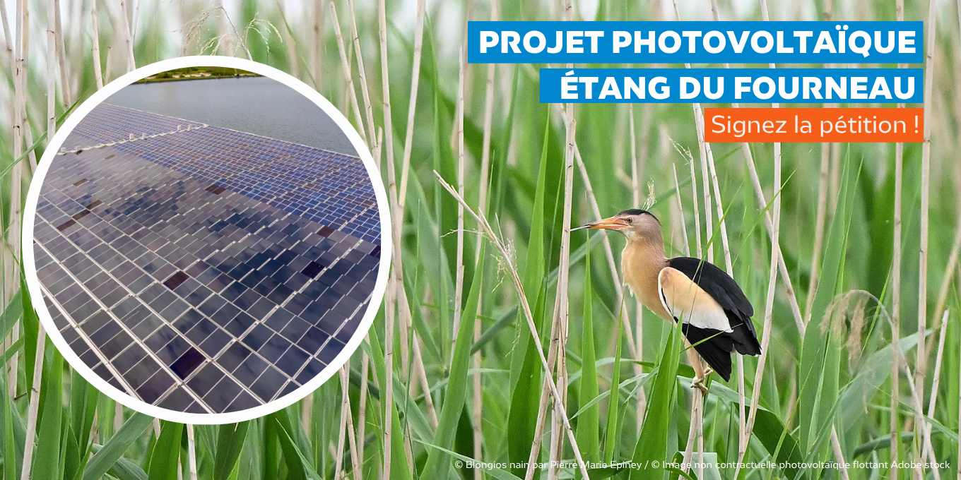Projet de parc photovoltaïque de l’Etang du Fourneau : signez la pétition !